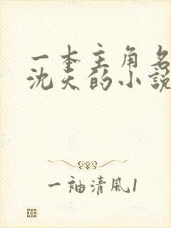 一本主角名字叫沈天的小说