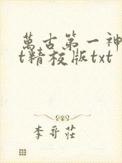 万古第一神txt精校版txt