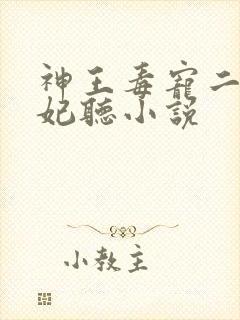 神王毒宠二嫁王妃听小说