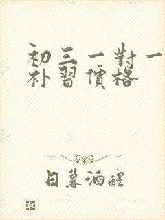 初三一对一物理补习价格