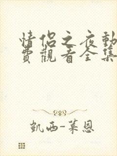 情侣之夜动漫免费观看全集高清版