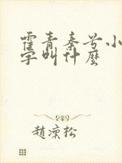 霍青秦兮小说名字叫什么