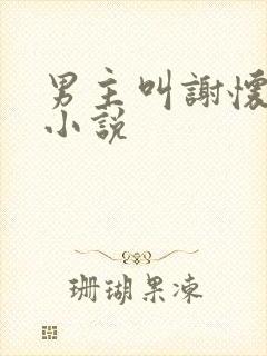 男主叫谢怀瑾的小说