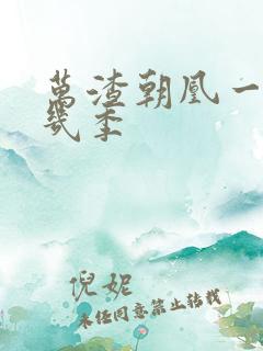 万渣朝凰一共有几季