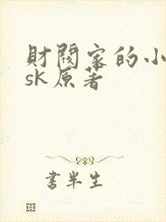 财阀家的小儿子sk原著