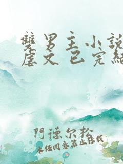 双男主小说推文虐文 已完结