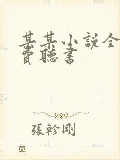 某某小说全集免费听书