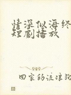 情深似海终成空短剧播放