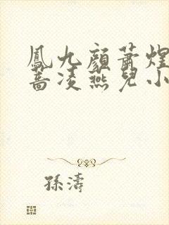 凤九颜萧煜凤薇蔷凌燕儿小说