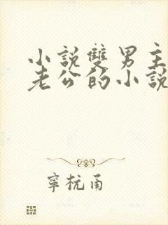 小说双男主虐文老公的小说推荐完结