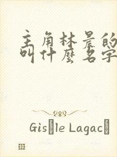 主角林晨的小说叫什么名字