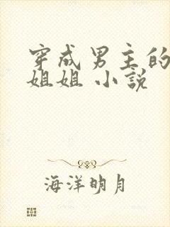 穿成男主的反派姐姐 小说