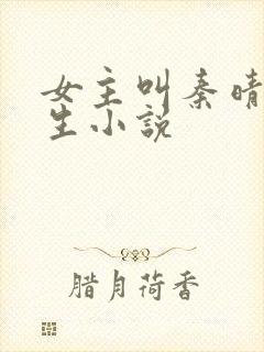 女主叫秦晴的重生小说