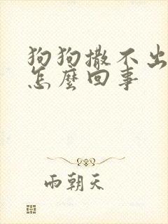 狗狗撒不出尿是怎么回事