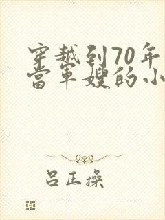 穿越到70年代当军嫂的小说