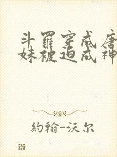 斗罗穿成唐三亲妹被迫成神的小说