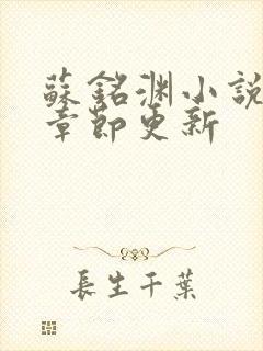 苏铭渊小说最新章节更新