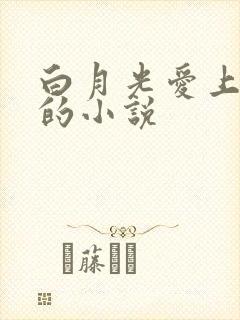 白月光爱上替身的小说