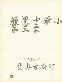 腹黑少爷小甜妻第三季