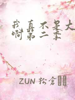 我真不是大反派啊第二季