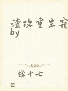 渣攻重生宠男妻by