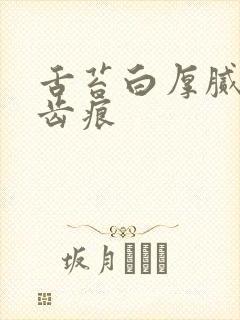 舌苔白厚腻,有齿痕