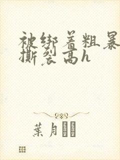 被绑着粗暴挺进撕裂高h