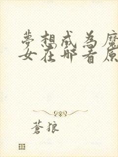 梦想成为魔法少女在哪看原版