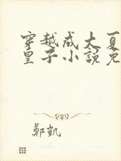 穿越成大夏国九皇子小说免费阅读