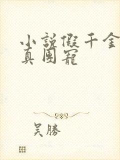 小说假千金才是真团宠