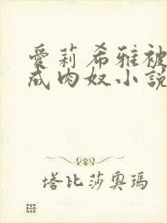 爱莉希雅被调教成肉奴小说