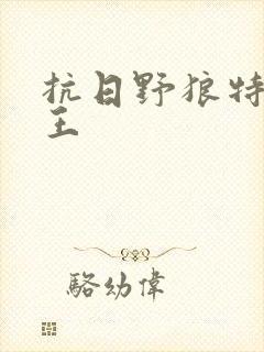 抗日野狼特战兵王