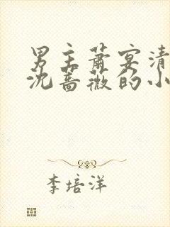 男主萧宴清女主沈蔷薇的小说