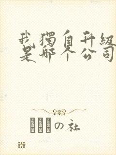 我独自升级动漫是哪个公司做的