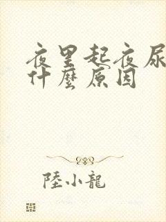 夜里起夜尿多是什么原因