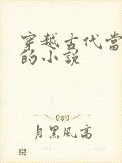 穿越古代当皇上的小说