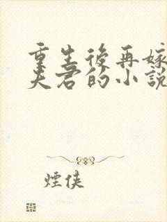 重生后再嫁前世夫君的小说