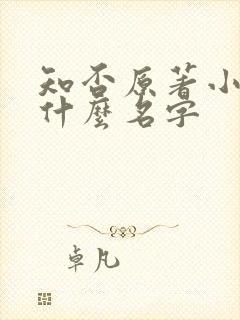 知否原著小说叫什么名字