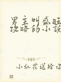 男主叫盛旺前妻攻略的小说名字是什