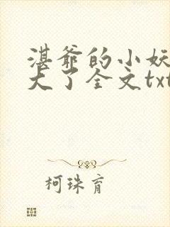 湛爷的小妖精长大了全文txt下载