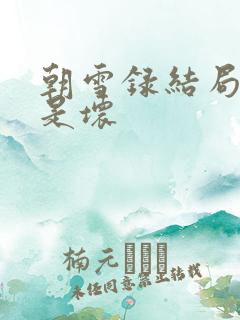 朝雪录结局是好是坏