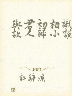 与君初相识恰似故人归小说原著