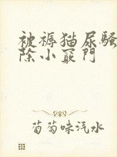 被褥猫尿骚味去除小窍门