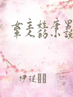 女主姓唐男主是军人的小说