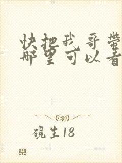快把我哥带走在哪里可以看