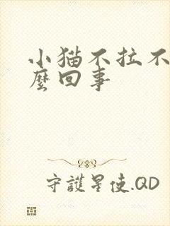 小猫不拉不尿怎么回事