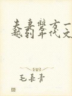 夫妻双方一起穿越到年代文的小说