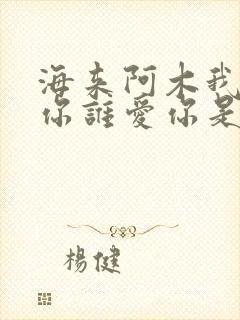 海来阿木我不爱你谁爱你是什么歌曲