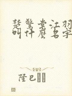 楚惊棠江羽小说叫什么名字啊