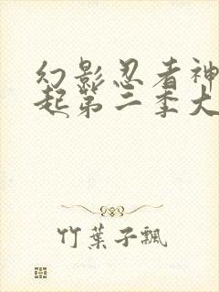 幻影忍者神龙崛起第二季大结局